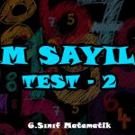 6_sinif_matematik_tam_sayilar_test-2