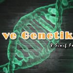 8_sinif_fen_bilimleri_dna_ve_genetik_kod_test-1