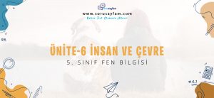 5_sinif_fen_bilgisi_unite-6_insan_ve_cevre_online_test