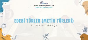 6_sinif_turkce_edebi_turler_metin_turleri_online_test